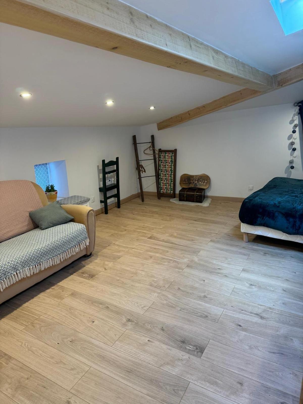 Villa Le Pat' Toit A La Traboule à Aurec-Sur-Loire Extérieur photo